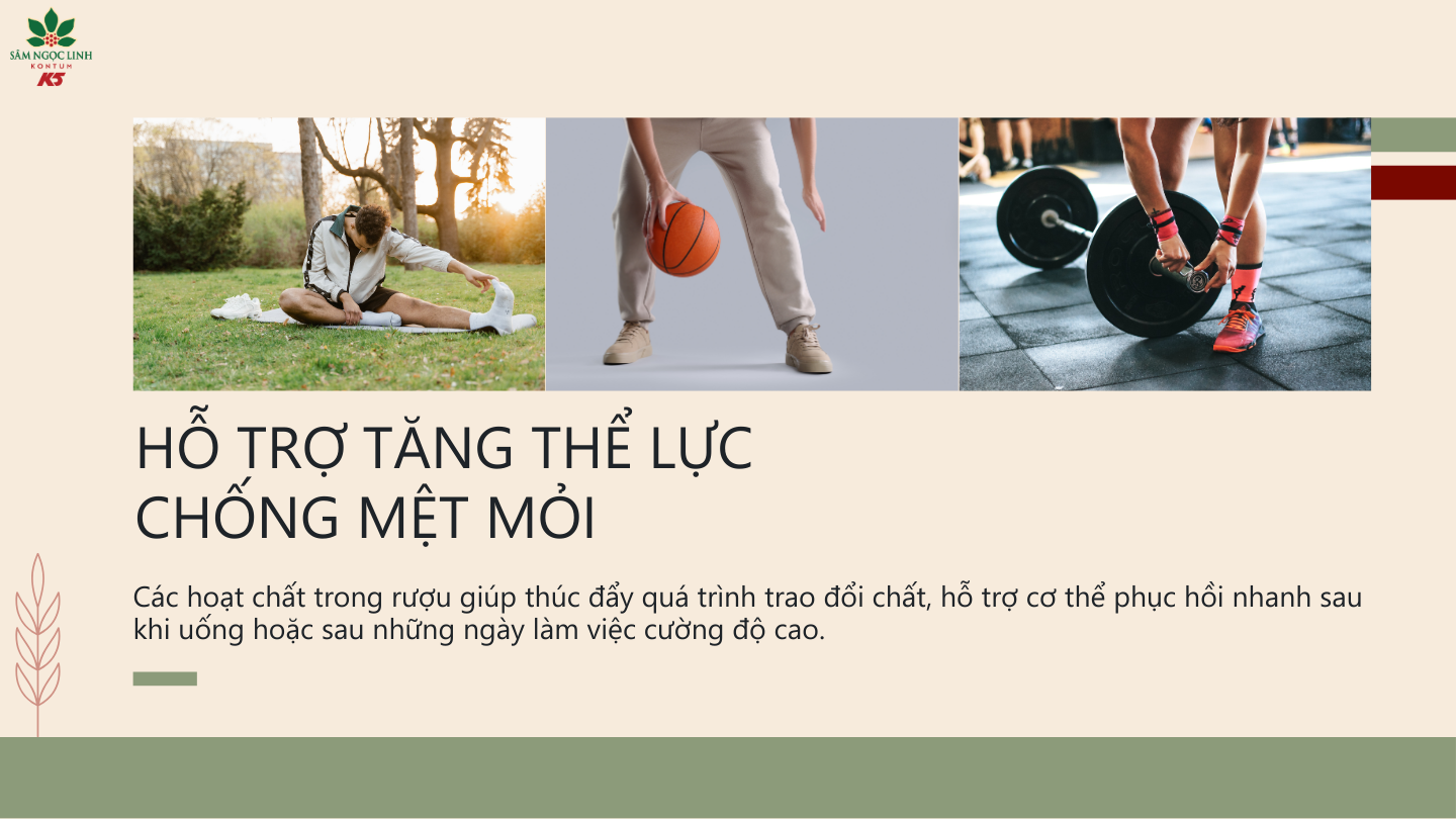 Rượu Ngũ Vị Ngọc Linh giúp hỗ trợ tăng thể lực, chống mệt mỏi.
