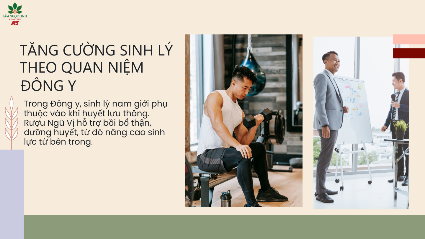  Rượu Ngũ Vị Ngọc Linh giúp tăng cường sinh lý theo quan niệm Đông y.