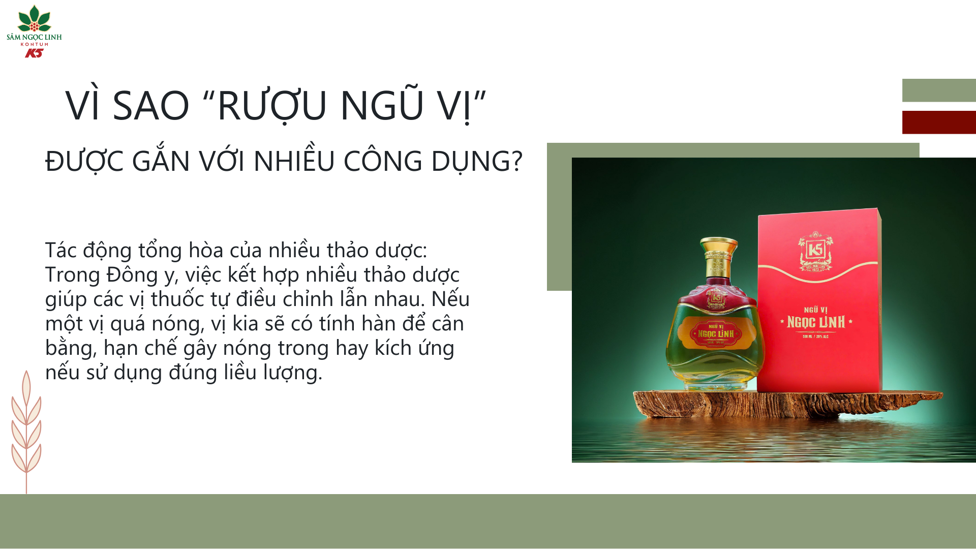 Lý do rượu Ngũ Vị có nhiều công dụng.