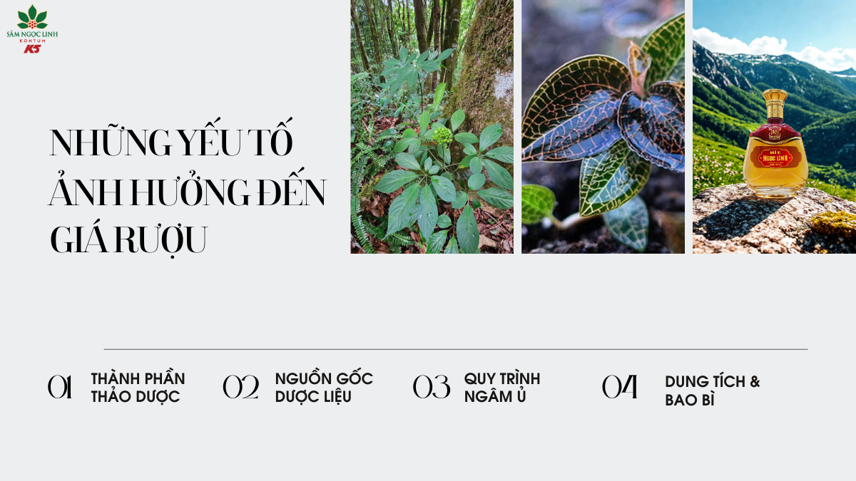  Các yếu tố có thể ảnh hưởng đến giá rượu Ngũ Vị Ngọc Linh.