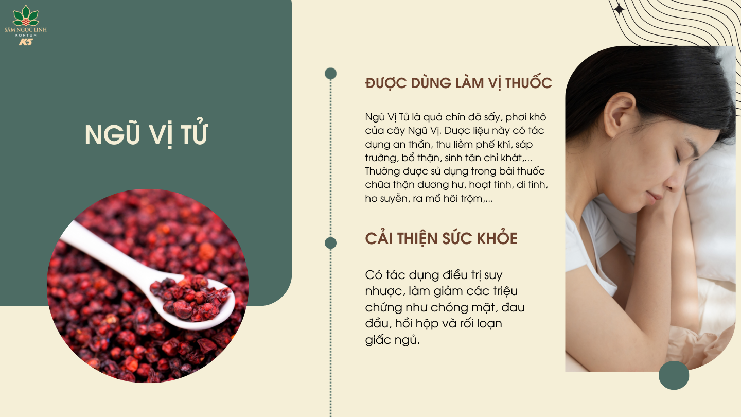  Ngũ Vị Tử giúp giảm mệt mỏi, căng thẳng hiệu quả.