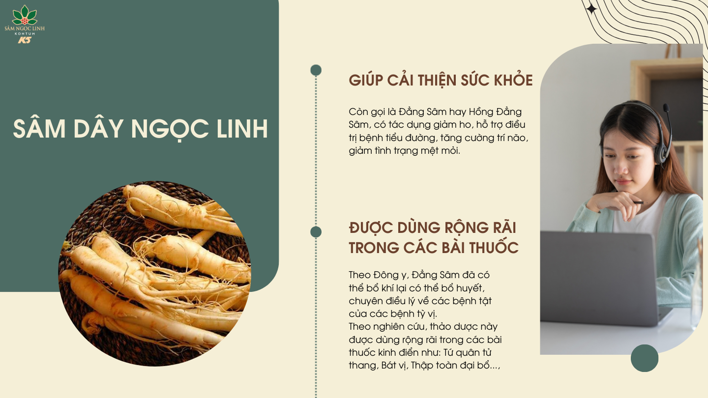  Sâm Dây có tác dụng giảm ho, hỗ trợ điều trị bệnh tiểu đường, tăng cường trí não, giảm tình trạng mệt mỏi.