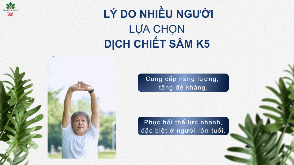 Lý do nhiều người lựa chọn Dịch Chiết Sâm K5.