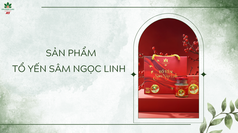 Sản phẩm Tổ Yến Sâm Ngọc Linh.