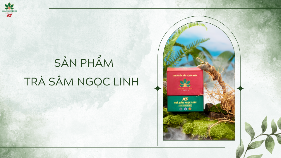 Sản phẩm Trà Sâm Ngọc Linh.