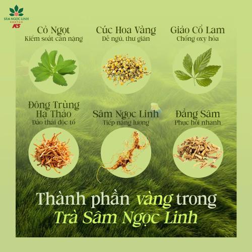 Thành phần của trà Sâm Ngọc Linh K5 là những thảo dược thiên nhiên.