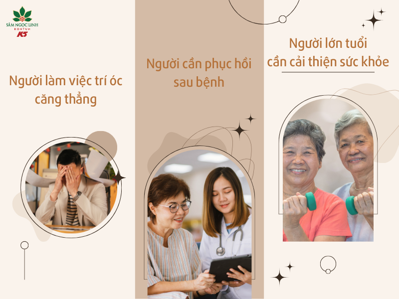 Đối tượng sử dụng trà Sâm Ngọc Linh rất đa dạng.