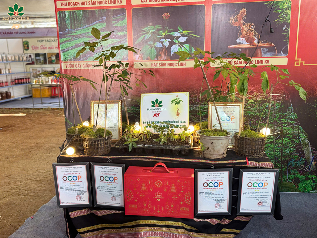 Các giấy chứng nhận OCOP của những sản phẩm Sâm Ngọc Linh K5.